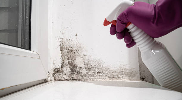 Local water damage restoration in Boston, GA